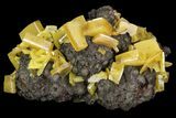 Sandwich Wulfenite Crystal Cluster - Ojuela Mine, Mexico #103478-1